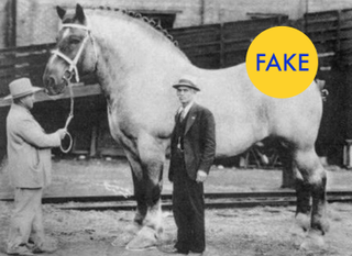 Illustration for article titled 7 (More) Fun Facts That Are Total Lies